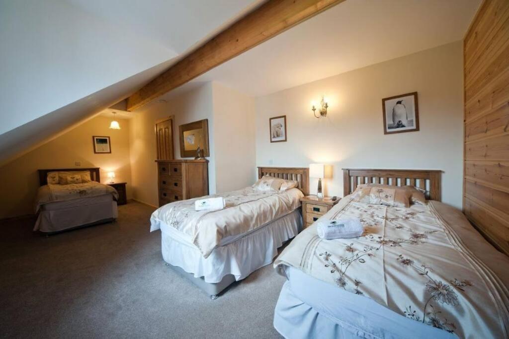 Beech Tree Eco Lodge Brecon Eksteriør bilde